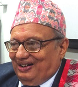 Dr Mrigendra Raj Pandey